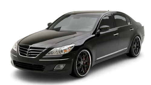 2D коврики EVA в салон  на Hyundai Genesis I (2008-2013)