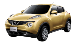 3D коврики EVA с бортами в салон  на Nissan Juke (2010-2019)